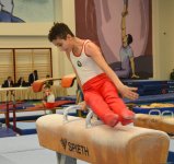 Men's, women's national artistic gymnastics competitions continue in Baku (PHOTO)