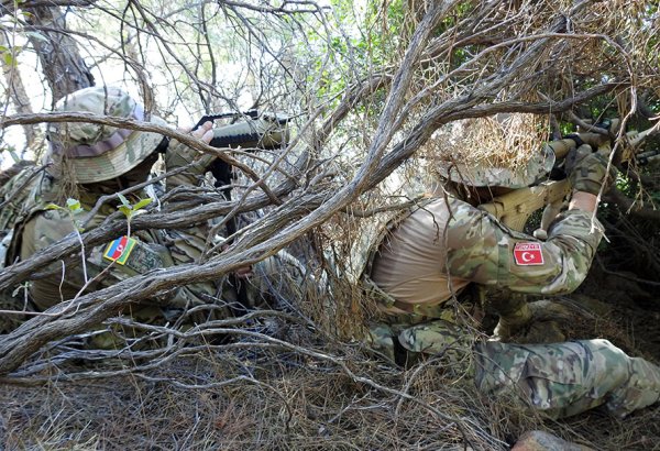 Azerbaijani, Turkish navies put finishing touches on “SAT-SAS-2024” drills (PHOTO)