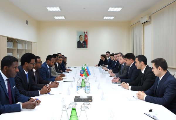Azerbaijan, Ethiopia moot cooperation in industrial zones