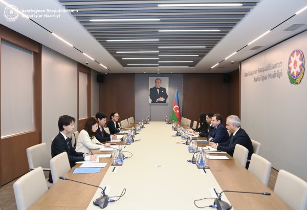 Azerbaijan-Japan economic committee set to hold joint session next year (PHOTO)