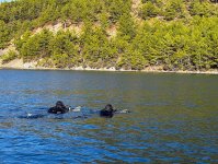 Azerbaijani, Turkish navies put finishing touches on “SAT-SAS-2024” drills (PHOTO)