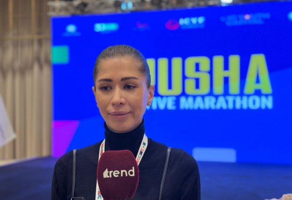 Creative Marathon aims to unite creative young people from Islamic countries - official