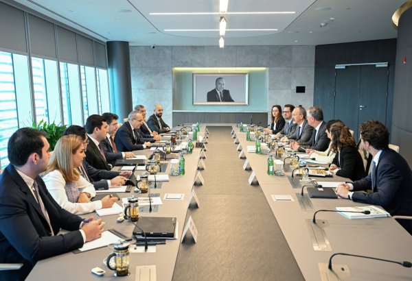 Azerbaijan, OECD discuss development of cooperation in new directions