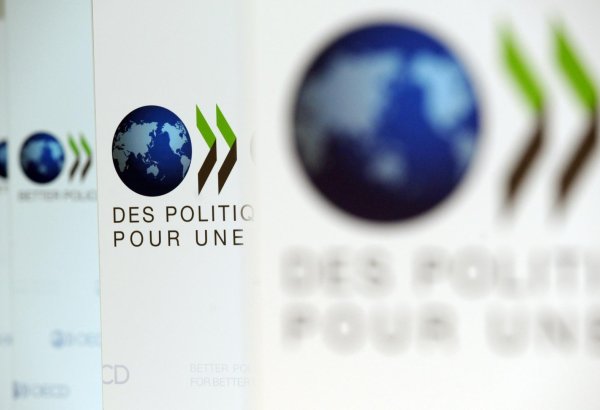 OECD projects slower disinflation, challenges for central banks in 2025-2026