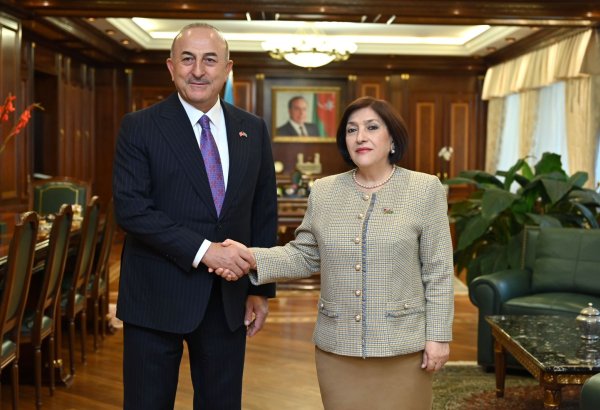 Azerbaijani Parliament speaker views regional concerns with former Turkish FM