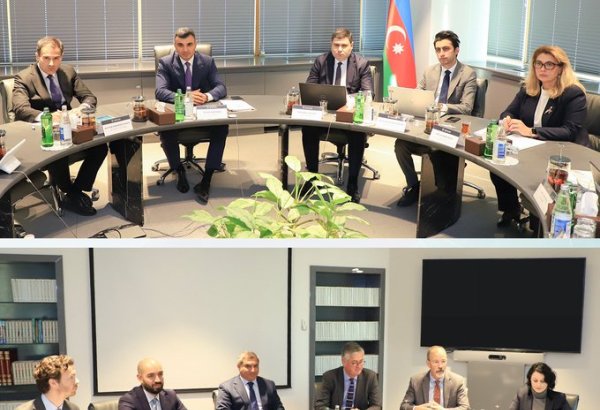 Azerbaijan, OECD talk key initiatives to enhance investment climate