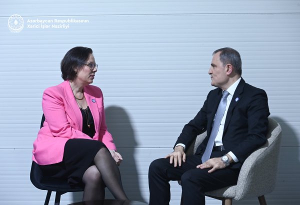 Azerbaijani, Swedish FMs discuss normalization of relations with Armenia