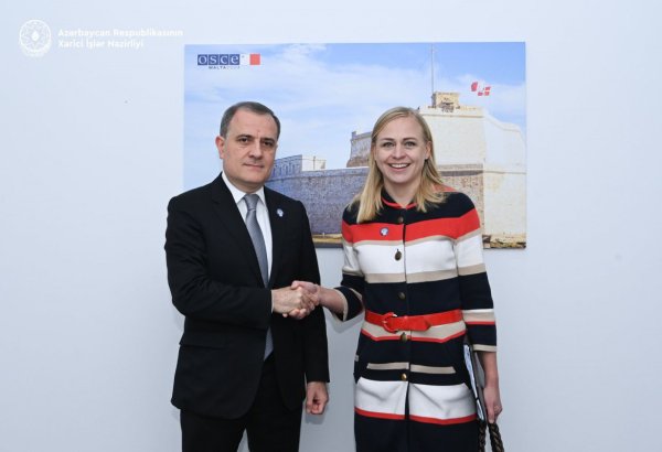 Azerbaijani FM briefs Finnish counterpart on reconciliation efforts with Armenia
