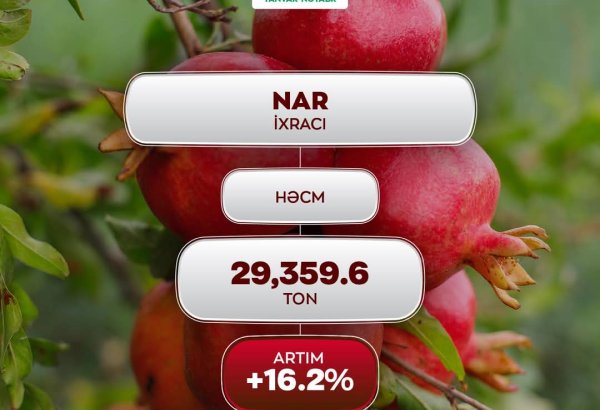 Azerbaijan reveals volume of pomegranate exports abroad