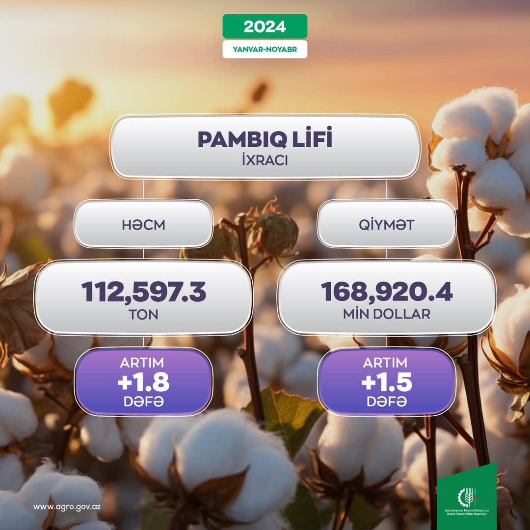 Azerbaijan tallies its revenues from cotton fiber exports in 11M2024