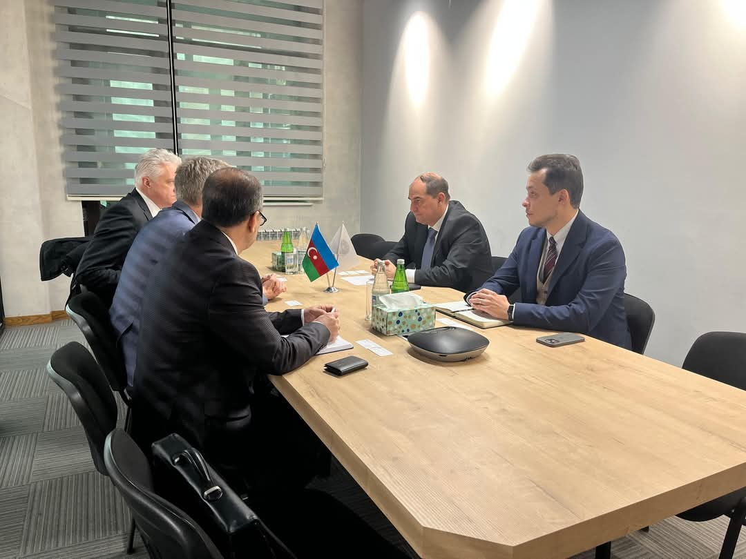 Azerbaijan, Sweden discuss wind energy cooperation in Caspian Sea (PHOTO)