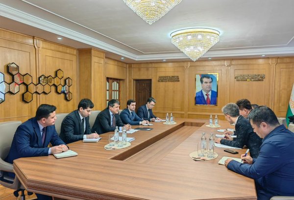 China, Tajikistan hold high potential for expanding mining cooperation, ministry says