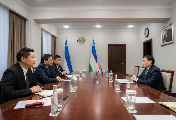 Uzbekistan, Mongolia discuss establishing direct flights on Tashkent-Ulaanbaatar route