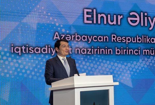 Azerbaijan strengthens int'l cooperation to boost green energy share in electricity output - deputy minister