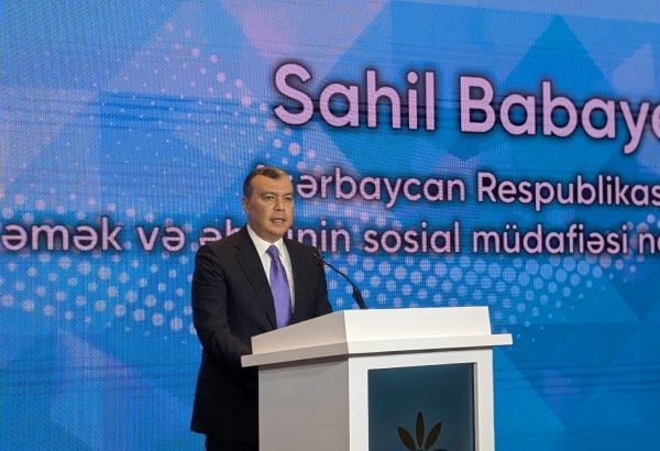 Azerbaijan's private sector sees double growth in number of labor contracts - minister