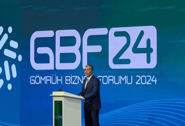 Azerbaijan's customs reforms promote integration into global economic community - minister
