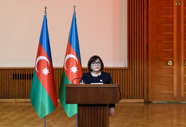 Relations between Parliaments of Azerbaijan and Türkiye expand in all directions - speaker