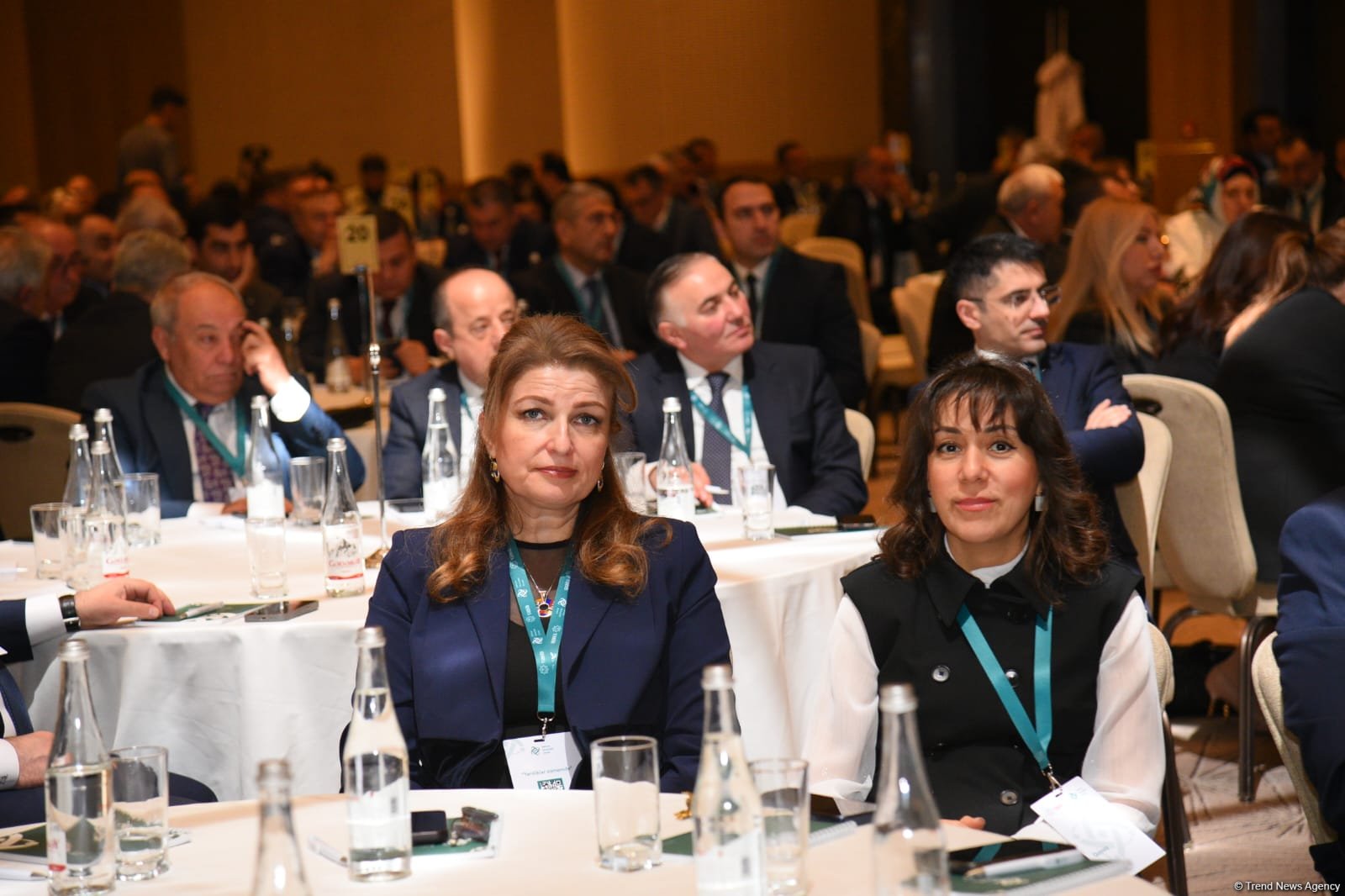 Azerbaijan's Baku hosts Healthcare Management Summit 2024 (PHOTO)