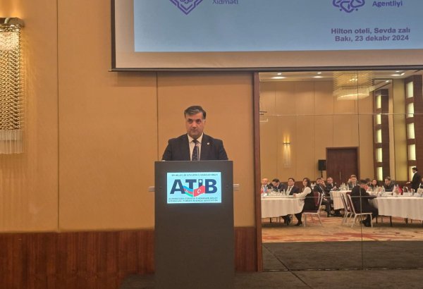 Azerbaijan works on new employment programs - deputy chairman