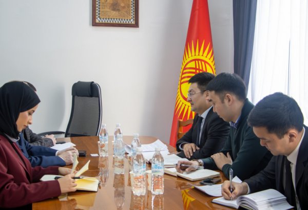 Kyrgyzstan and Bahrain discuss opening direct flights