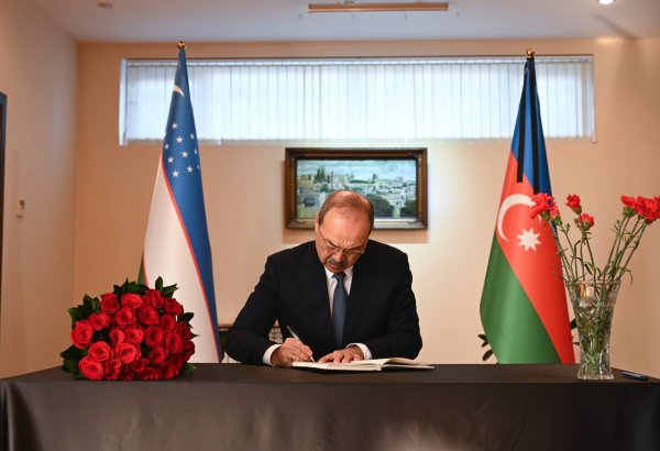 Uzbekistan's PM extends condolences to Azerbaijan over plane crash near Aktau