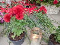 Azerbaijani people pay tribute to AZAL pilot killed in crash with flowers at his home (PHOTO)