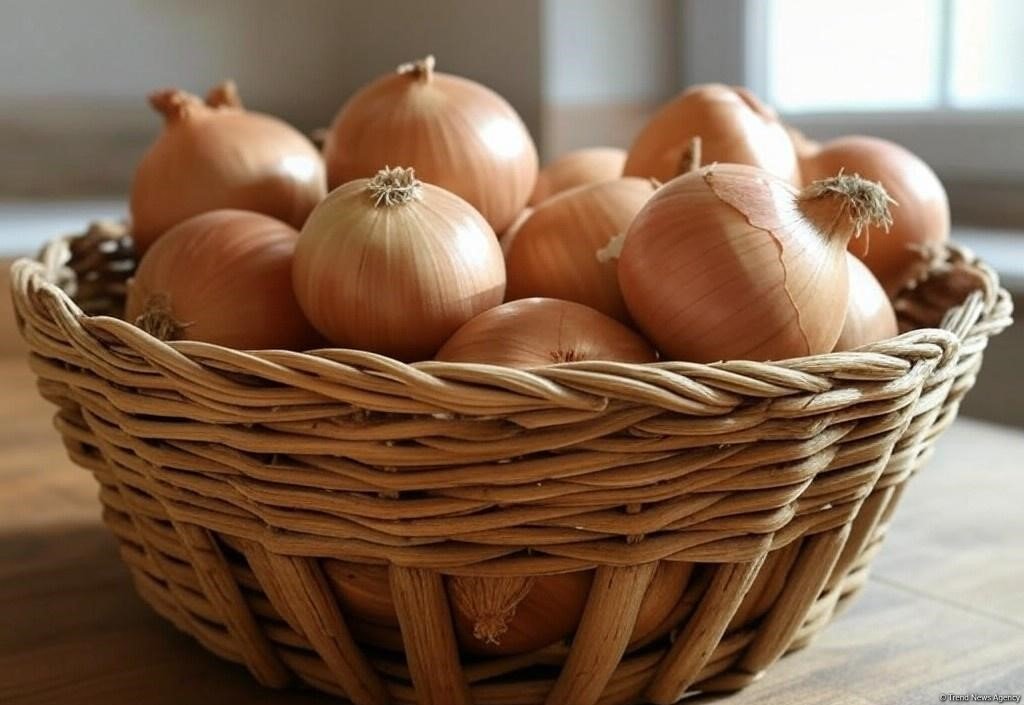 Uzbekistan reveals volume of onion exports for 11M2024