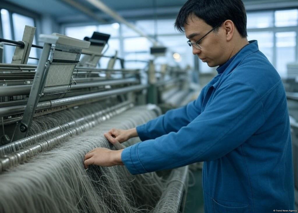 Production volume in Azerbaijan's textile industry revealed
