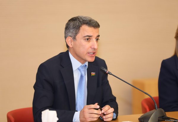 Biased policy is being carried out against Azerbaijan - MP on events in Russia
