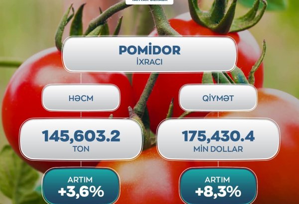 Azerbaijan sees growth in tomato export revenues