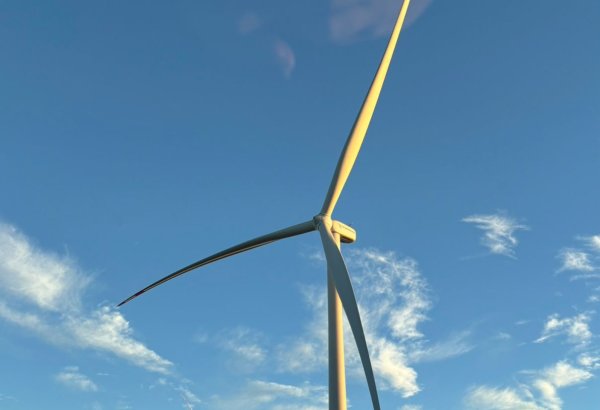 Azerbaijan, Vestas Wind Systems moot wind energy cooperation opportunities
