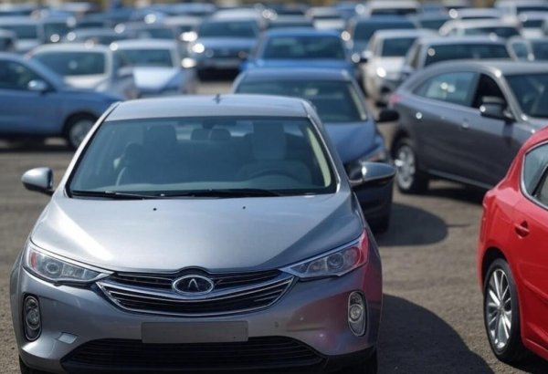 Uzbekistan's automobile market sees decline in February sales