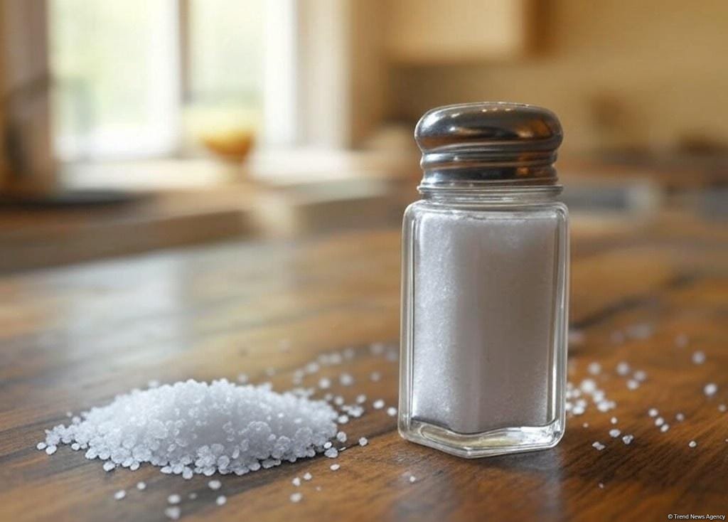 Kazakhstan turns into largest importer of edible salt from Russia