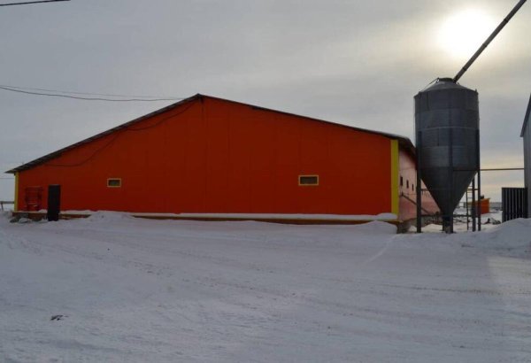 Kazakhstan's Pavlodar region sees expansion of its poultry farm