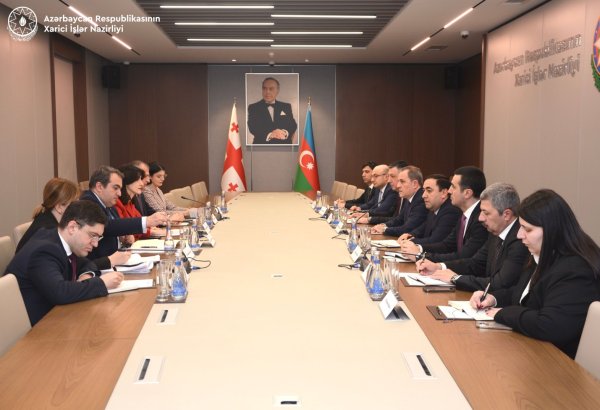 Azerbaijani, Georgian FMs discuss several vital topics in Baku (PHOTO)