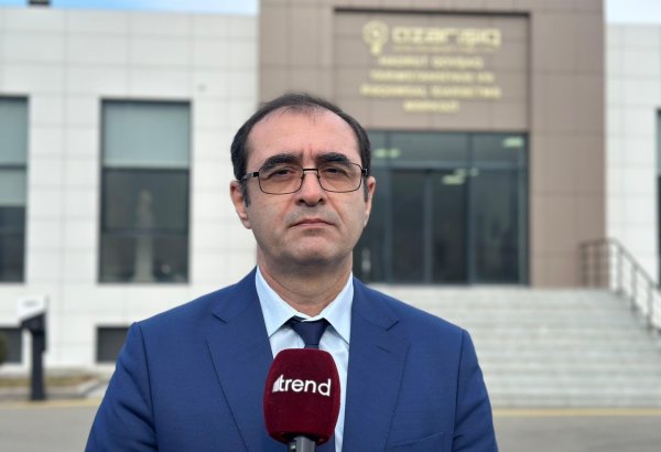 Azerishig OJSC's green network model piques interest of many countries - director