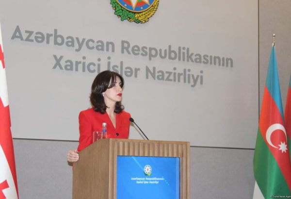 Georgia advocates for peace in region - FM