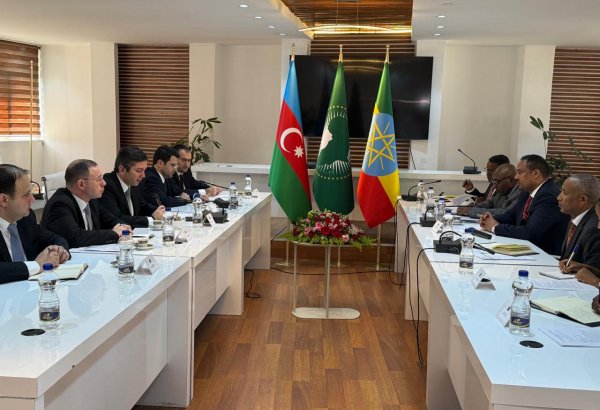 Azerbaijan, Ethiopia discuss cooperation in number of areas (PHOTO)