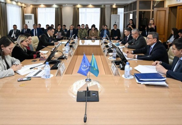 UNDP plans to launch pilot project for sustainable economic dev't in North Kazakhstan
