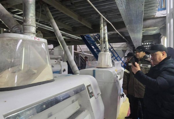 Kazakh grain facility on Turkmenistan border turns back in business