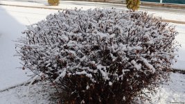 Snowfall shrouds Azerbaijan's Khankendi in white blanket (PHOTO)