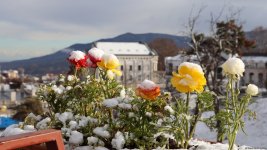 Snowfall shrouds Azerbaijan's Khankendi in white blanket (PHOTO)