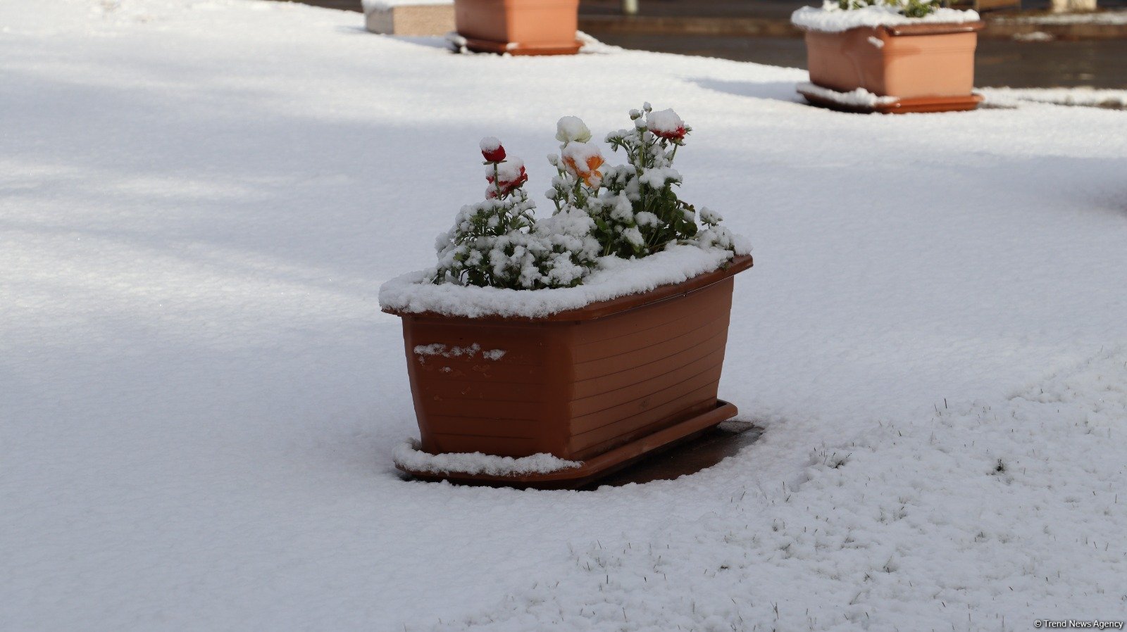 Snowfall shrouds Azerbaijan's Khankendi in white blanket (PHOTO)