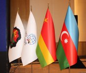 Azerbaijan's Baku hosts int'l conference dedicated to Réunion Island's independence (PHOTO)