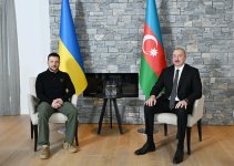 President Ilham Aliyev meets with Ukrainian President in Davos (PHOTO/VIDEO)