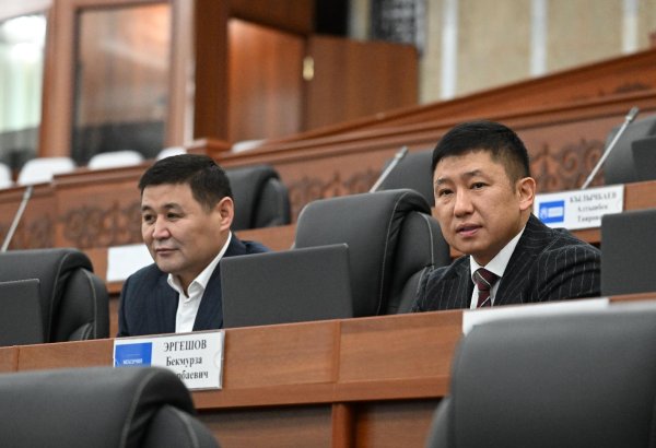 Kyrgyzstan picks out bill on digital som status in first reading