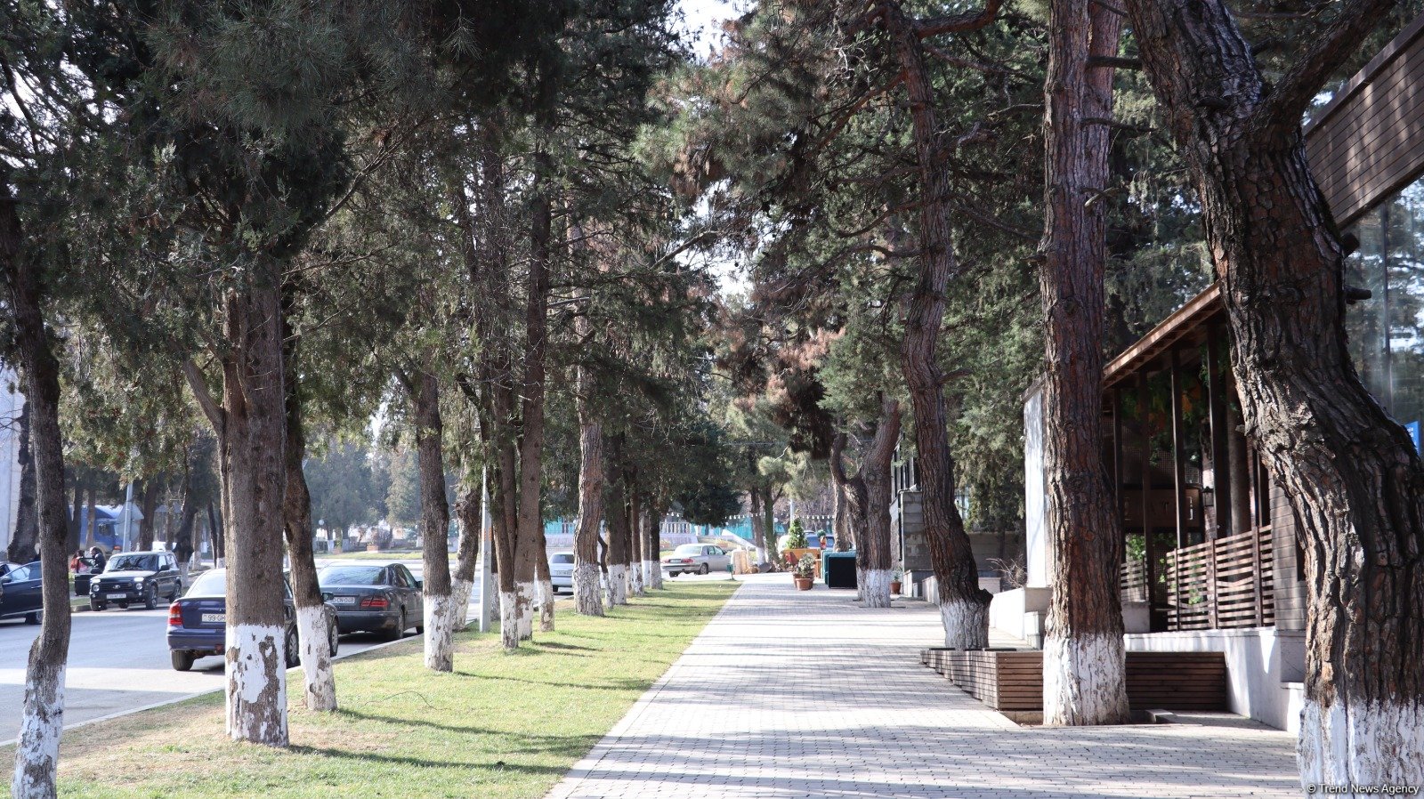 Azerbaijan's liberated Khankendi city facing life revival (PHOTO)