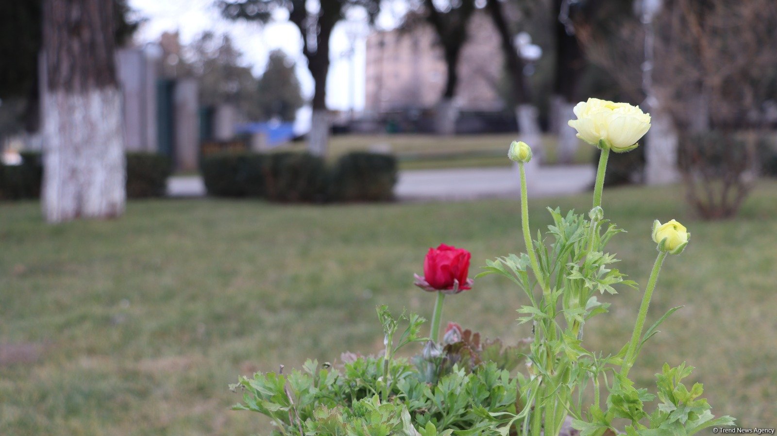 Azerbaijan's liberated Khankendi city facing life revival (PHOTO)