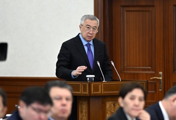 Kazakhstan spotlights anti-crisis strategy amid oil price slump