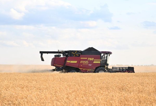 Kazakhstan sets new grain harvest record for 2024